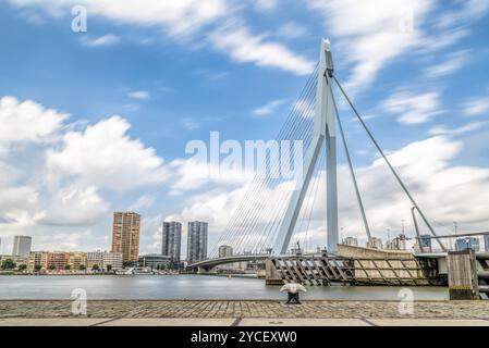 Rotterdam, Netherlands, August 6, 2016: The 800-metre long Erasmus Bridge spans the Maas River and links the northern and southern parts of Rotterdam Stock Photo