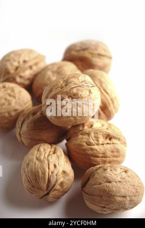Walnuts, Close Up against white background Stock Photo
