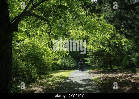 The amazing freedom of electrically powered wheelchairs in Helsinki in Helsinki Kaisaniemi Botanical Garden, finnish summer ! (unrecognizable person f Stock Photo