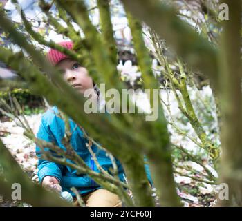 Boy hanging up Easter eggs Stock Photo