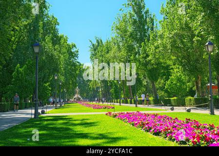 Madrid, Spain - June 05, 2017 : Mexico Avenue in Buen Retiro Park  (Parque de El Retiro)- most  largest and most beautiful of the Madrid parks. Madrid Stock Photo