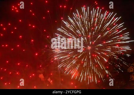 Fireworks exploding in the night sky Stock Photo