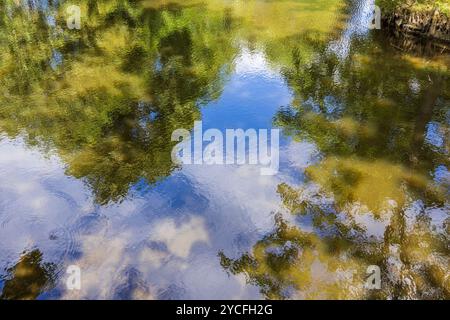 Trees and sky are reflected on the surface of the water Stock Photo - Alamy
