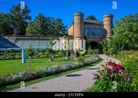 Karlsruhe, Baden-Württemberg, Germany - Karlsruhe Botanical Garden in the palace gardens at Karlsruhe Palace. Municipal botanical garden from the early 19th century with large, historic greenhouses. Stock Photo