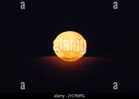 Yellow glowing, rising full moon, seen from the southern hemisphere. Stock Photo