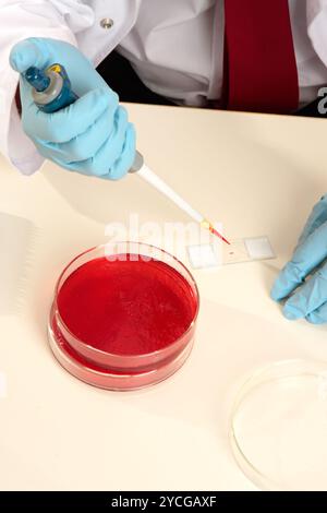 Scientist preparing a slide Stock Photo