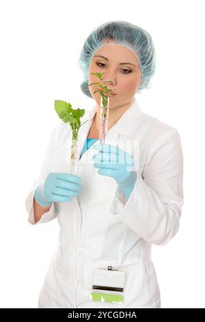 Scientist holding test tubes with plants on white background Stock ...