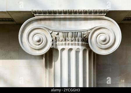 An example of an Ionic capital. Stock Photo