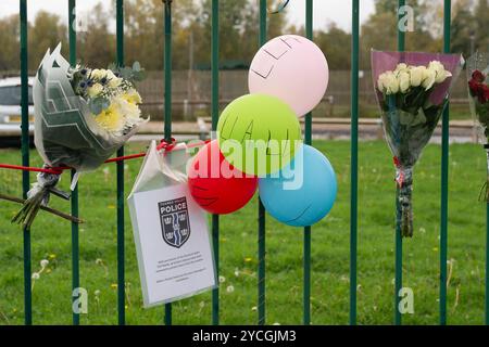 Datchet, Berkshire, UK. 23rd October, 2024. Floral tributes and messages have been laid outside Liquid Leisure in Datchet, Berkshire following the tragic death of teenager Aidan Tottman. A report of a road traffic collision outside the Liquid Leisure Centre on the Horton Road was made to Thames Valley Police at 4.07pm on Saturday 19th October 2024.   Sadly, one of the boys died in hospital on Sunday 20th October 2024.Credit: n.c/Alamy Live News Stock Photo