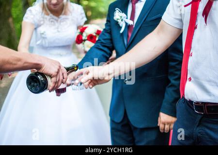 A Joyous Wedding Celebration with Toasts and Cheers in a Lush Green Setting. Stock Photo