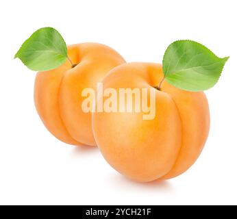 Two apricots with leaves Stock Photo