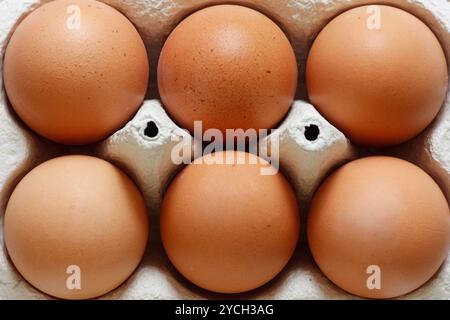 Eggs Stock Photo