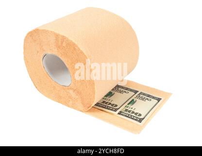 Roll of toilet paper and money isolated on white background Stock Photo