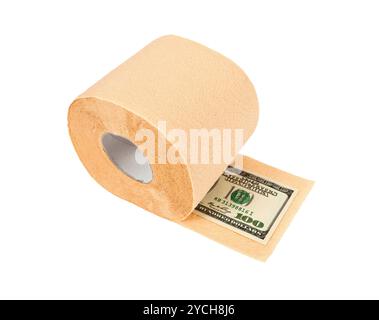 Roll of toilet paper and money isolated on white background Stock Photo