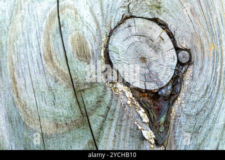 A knot in the surface of a weathered plank. Stock Photo