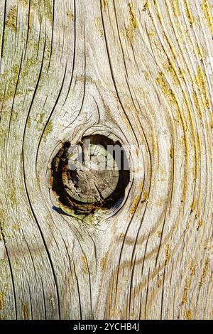 A knot of wood in the surface of a weathered plank. Stock Photo