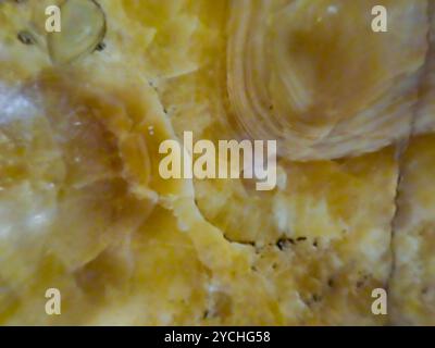 Old Roman marble texture background, Italian marble slab, The texture of limestone or Closeup surface grunge stone texture Stock Photo