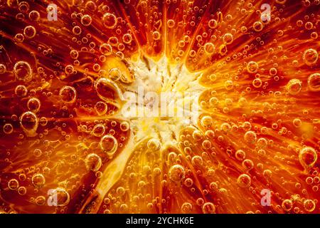 Citrus close up with bubbles, abstract background Stock Photo