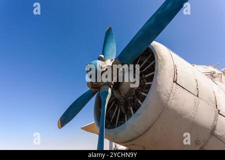 Radial engine and propeller of an old airplane closeup Stock Photo - Alamy