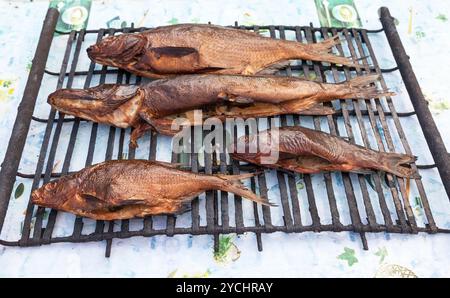 Just smoked fresh fish caught in the river Stock Photo