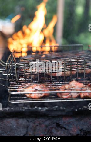 Juice marinated chicken wings in grilled Stock Photo