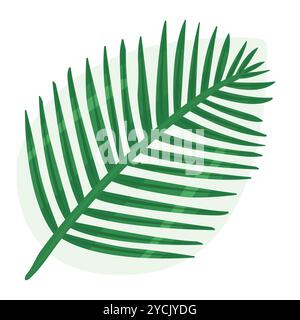 Color coconut leaf, palm branch, nut frond, vector illustration Stock Vector