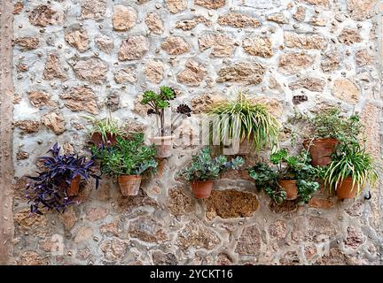 Background photography of grunge terracotta wall with plants in clay pots , decorataed wall of old house in Mallorca, Spain, abstract pattern; texture Stock Photo