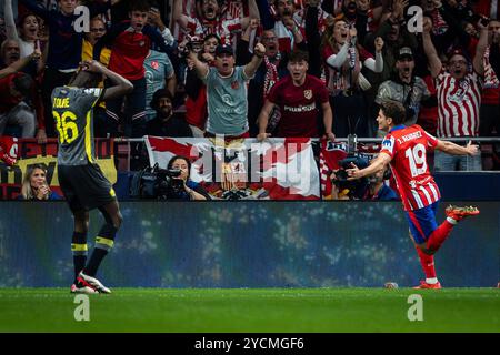 Madrid, Espagne. 23rd Oct, 2024. Julian ALVAREZ of Atletico Madrid celebrates his goal and Ousmane TOURE of Lille looks dejected during the UEFA Champions League, League Phase MD3 football match between Atletico de Madrid and Losc Lille on 23 October 2024 at Riyadh Air Metropolitano stadium in Madrid, Spain - Photo Matthieu Mirville/DPPI Credit: DPPI Media/Alamy Live News Stock Photo