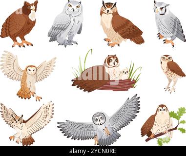 Forest owl birds collection. Flying and sitting owls on tree branches, night prey animal brown beautiful smart bird face watching eyes, little owlet swanky vector illustration original artwork Stock Vector