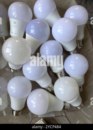 light bulbs in a basket Stock Photo