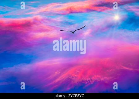 Bird Silhouette Is Soaring Into A Colorful Sunset Sky With A bright Star Bursting Forth Through The Clouds Stock Photo