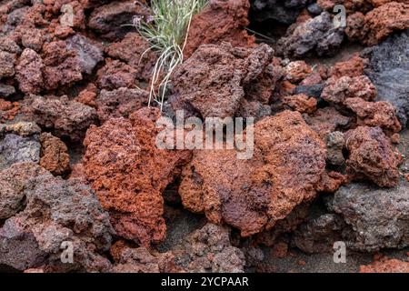 Spell Volcano Rocks Osorno volcano in Chile. The ring of Fire volcano crater and lava on ...