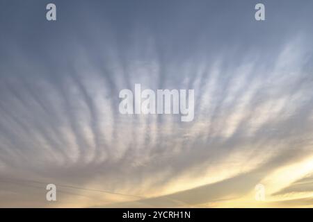 Clouds Cirrus veil clouds Feather clouds in the evening sky at sunset, international Stock Photo
