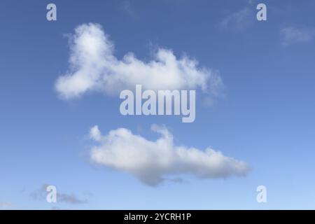 Clouds Altocumulus in front of a bright blue sky, international Stock Photo