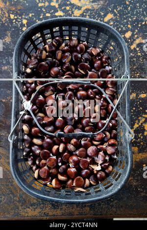 Basket with chestnuts Stock Photo