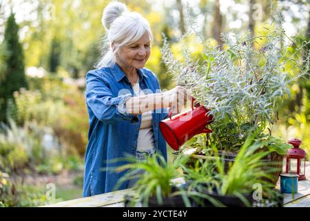 Mature woman watering plants in her garden Stock Photo