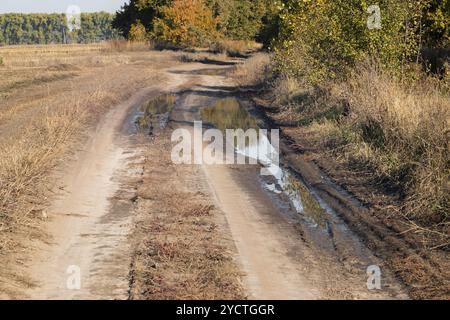 Rural dirt road with puddles in the field Stock Photo