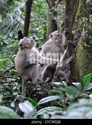 Happy big family, young parents with three kids, laughing boy, cute ...