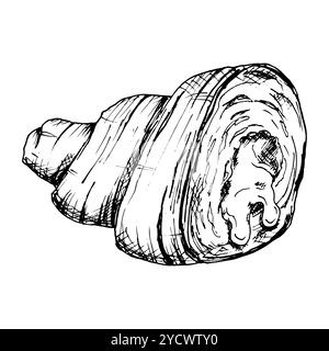Hand drawn black and white vector illustration of the inner layers and filling of a croissant. Sketch showing the layered, rolled texture of French Stock Vector