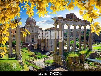 Roman Forum in autumn Stock Photo