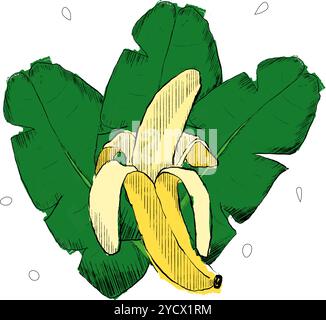 banana and palm leaves composition on isolated white background, graphic illustration. Vector Jungle design elements Stock Vector