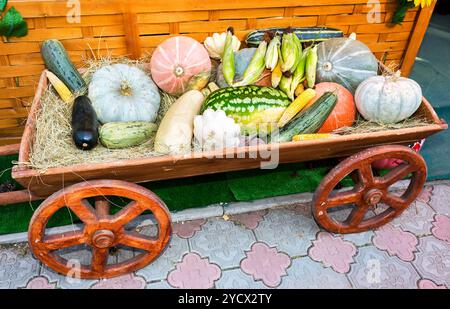 Agriculture harvested various colorful fresh vegetables on the old wooden cart Stock Photo
