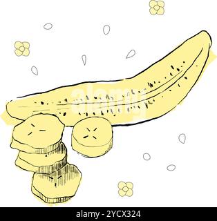 Graphic hand drawn sliced banana fruit composition, vector tropical farm food. for sweet dessert or organic juice package Stock Vector