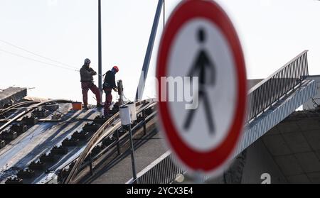 Dresden, Germany. 24th Oct, 2024. Experts work on the collapsed bridge span of the Carola Bridge. The western section of the bridge with streetcar tracks, cycle path and footpath collapsed on the night of September 11, 2024 for unknown reasons. Credit: Robert Michael/dpa/Alamy Live News Stock Photo