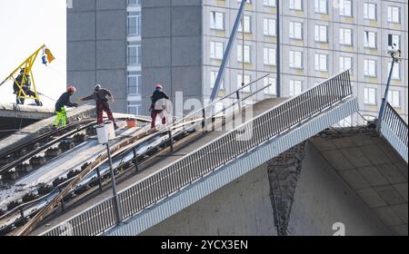 Dresden, Germany. 24th Oct, 2024. Experts work on the collapsed bridge span of the Carola Bridge. The western section of the bridge with streetcar tracks, cycle path and footpath collapsed on the night of September 11, 2024 for unknown reasons. Credit: Robert Michael/dpa/Alamy Live News Stock Photo