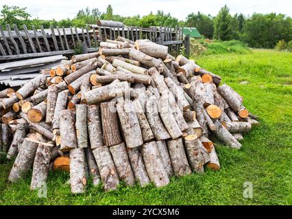 Stock pile of timber, chopped down trees at the forest in summertime Stock Photo