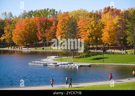 Canada, Quebec, Montreal, Mount Royal Park, Beaver Lake, autum foliage Stock Photo