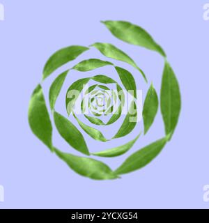 Green leaves swirling in air on blue violet background Stock Photo