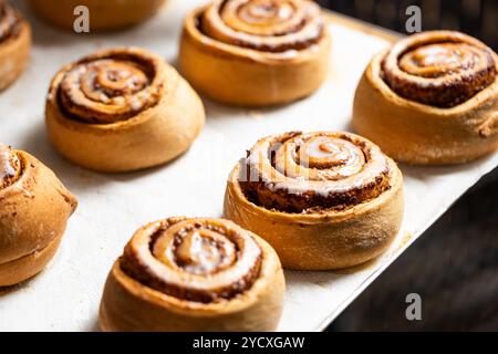 Freshly baked vegan cinnamon rolls, topped with a sweet icing, displayed on a parchment-lined baking tray, ready to be served Stock Photo