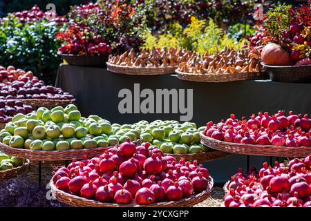An array of fresh fruits including green apples and red pomegranates artfully arranged on wicker baskets at a market stall, illuminated by sunlight Stock Photo